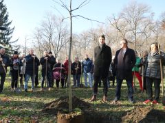 Szeged, Provident Pénzügyi Zrt., felajánlás, faültetés, Erzsébet liget