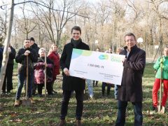 Szeged, Provident Pénzügyi Zrt., felajánlás, faültetés, Erzsébet liget