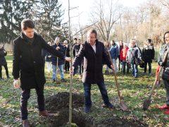 Szeged, Provident Pénzügyi Zrt., felajánlás, faültetés, Erzsébet liget