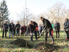 Szeged, Provident Pénzügyi Zrt., felajánlás, faültetés, Erzsébet liget