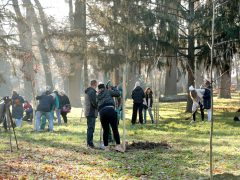 Szeged, Provident Pénzügyi Zrt., felajánlás, faültetés, Erzsébet liget