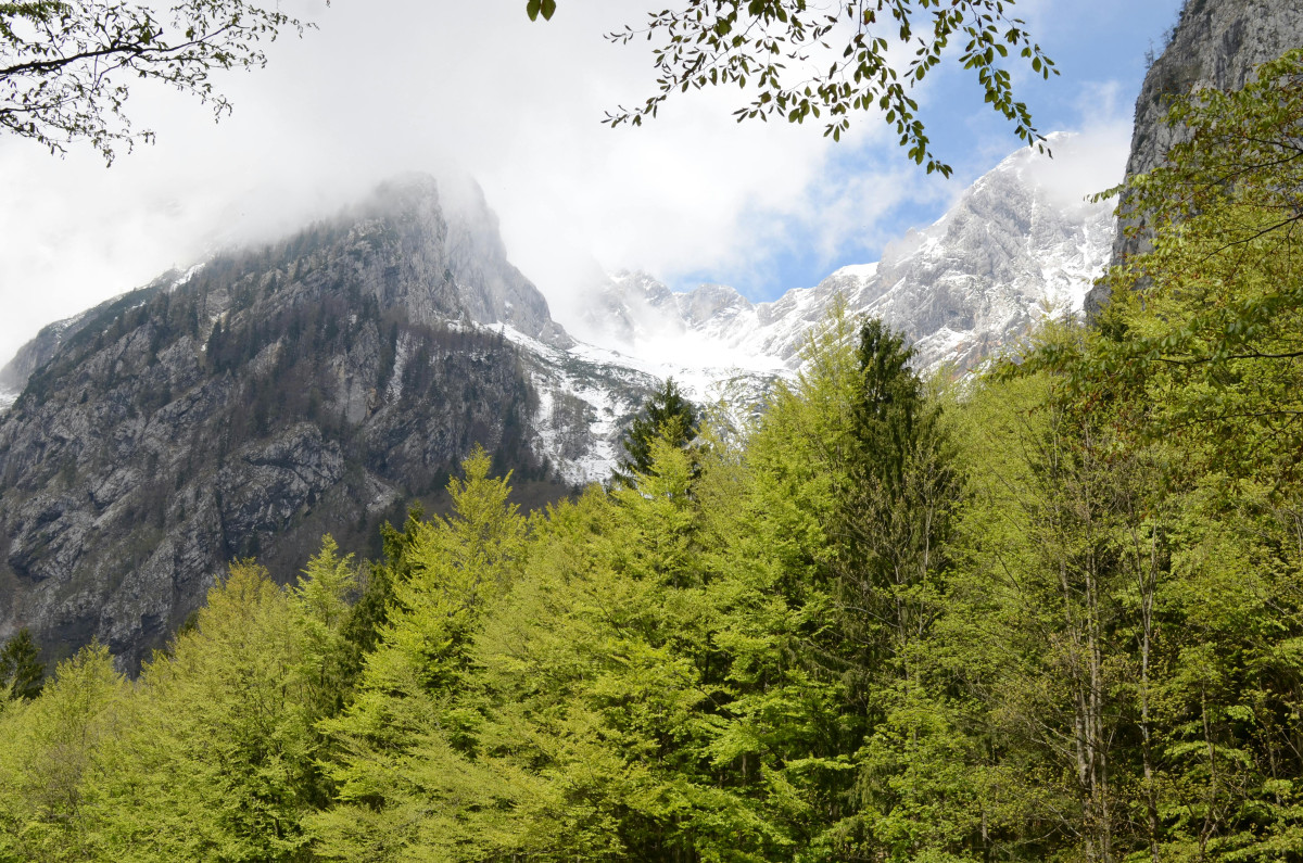 Szlovénia. Hegy. Túrázás. Eltűnés.