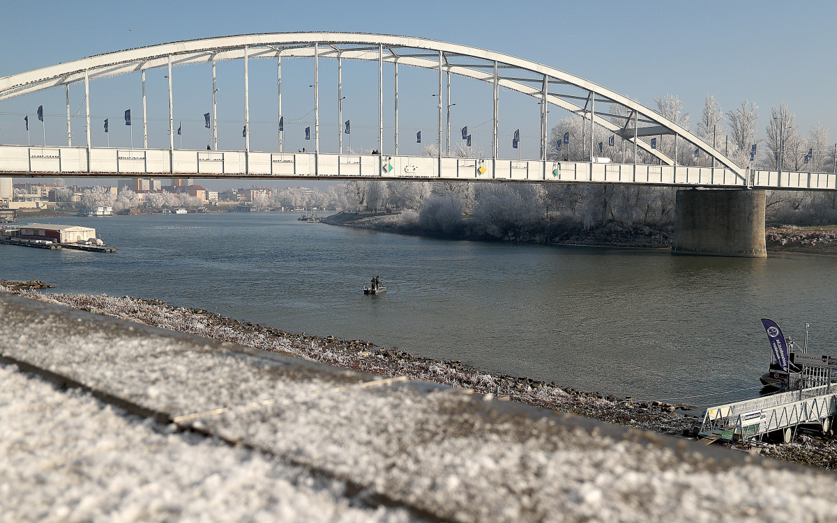 Szeged, zúzmara, tél, időjárás, január, hideg, fagy