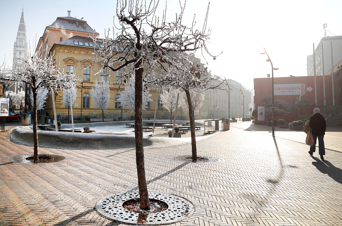 Szeged, zúzmara, tél, időjárás, január, hideg, fagy