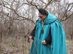 Ópusztaszer, Vince-napi vesszővágás, borrendek, szőlő, bor, termés, Ópusztaszeri Nemzeti Történeti Emlékpark