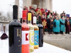 Ópusztaszer, Vince-napi vesszővágás, borrendek, szőlő, bor, termés, Ópusztaszeri Nemzeti Történeti Emlékpark