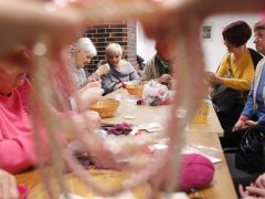 Szeged, Európai Méhnyakrák Megelőzési Hét, Mályvavirág, Somogyi könyvtár, prevenciós nap