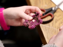 Szeged, Európai Méhnyakrák Megelőzési Hét, Mályvavirág, Somogyi könyvtár, prevenciós nap