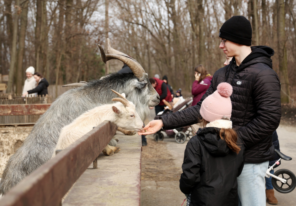 Szeged, Vadaspark, tél, február, látogatók, állatok, kirándulás