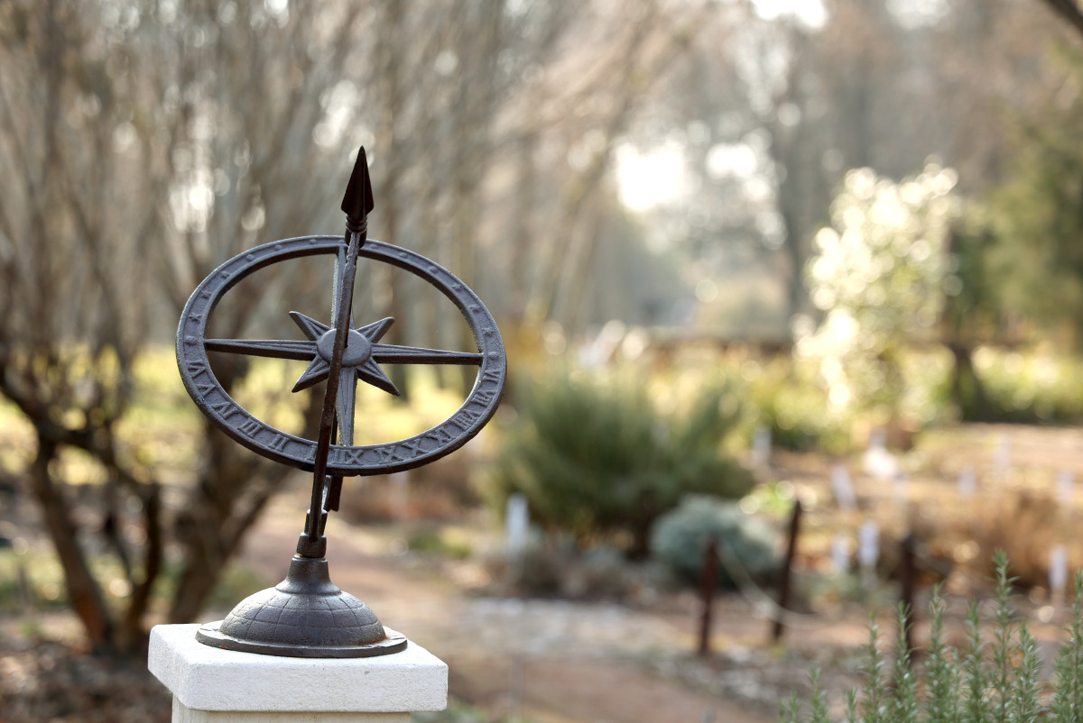 Szeged, SZTE, Füvészkert, tél, február, természet