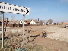 Mórahalom, ökoturisztikai fejlesztés, Nagyszéksós-tó