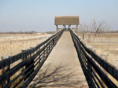 Mórahalom, ökoturisztikai fejlesztés, Nagyszéksós-tó