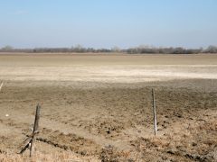 Mórahalom, ökoturisztikai fejlesztés, Nagyszéksós-tó