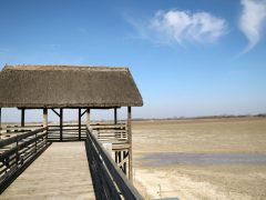 Mórahalom, ökoturisztikai fejlesztés, Nagyszéksós-tó