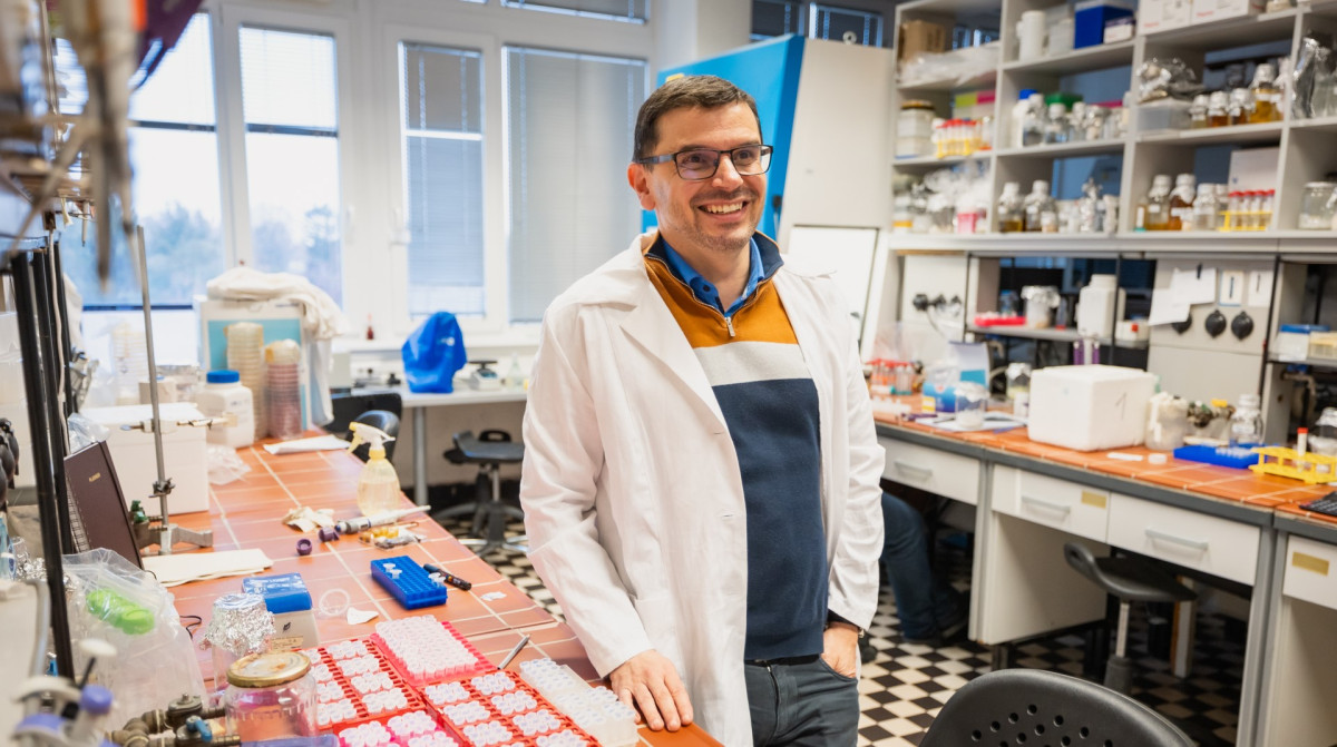 SZTE. Kutatás. Amerika.