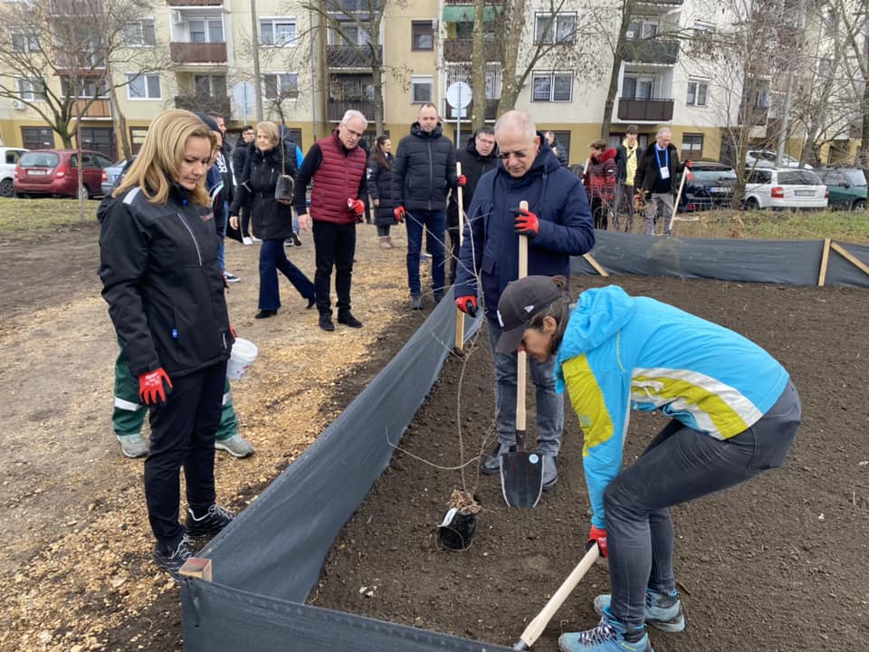 Minierdőt ültettek Debrecenben