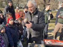 Madárgyűrűzés Debrecenben