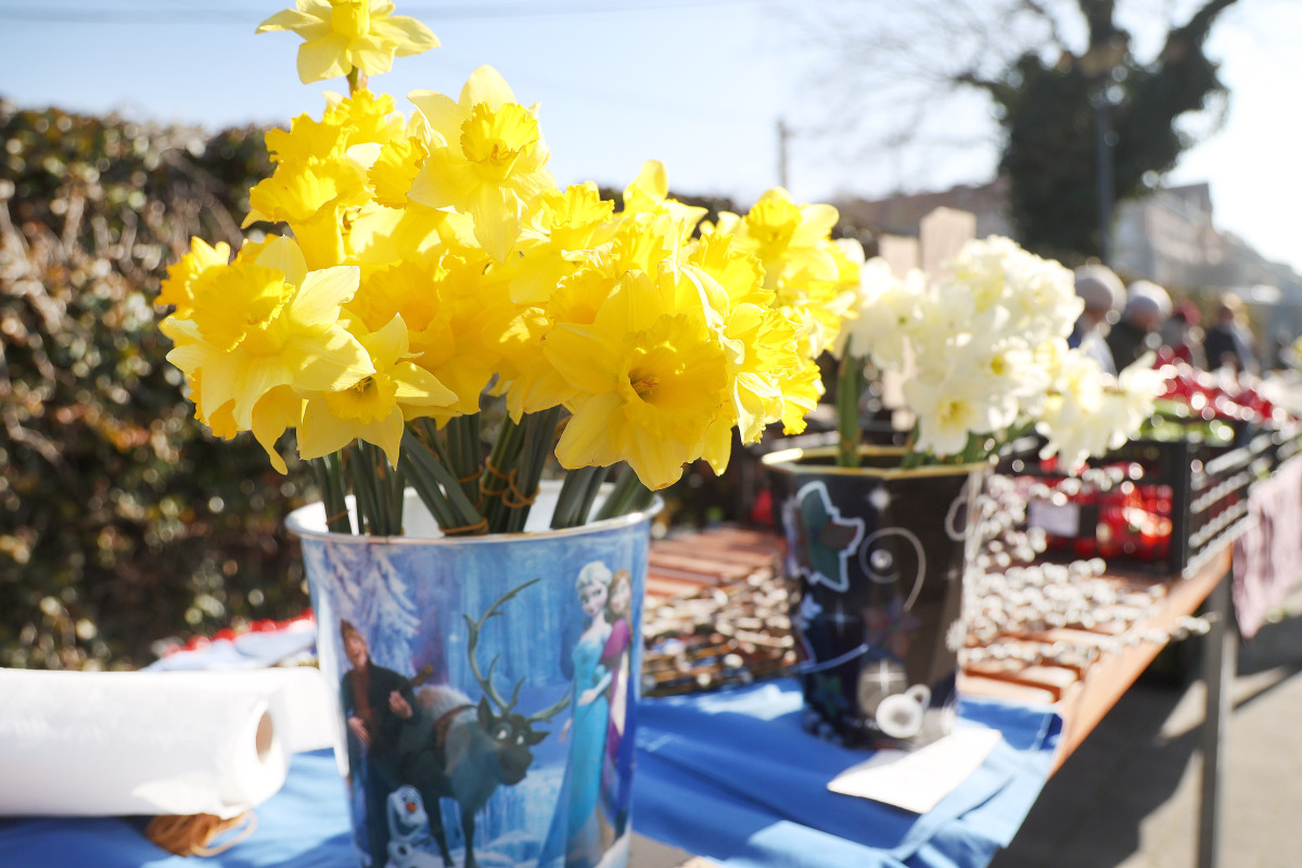 Szeged, virág, Nőnap, Mars téri piac, piac