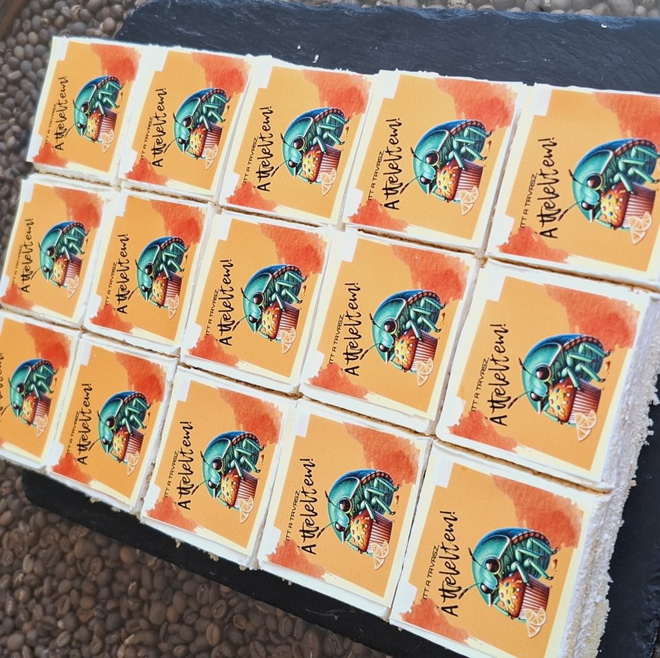 Kérmes. Hódmezővásárhely. Politika.