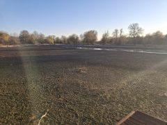 Kiszáradt a Vekeri-tó