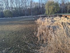 Kiszáradt a Vekeri-tó