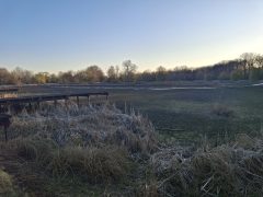 Kiszáradt a Vekeri-tó