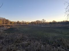 Kiszáradt a Vekeri-tó