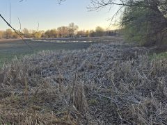 Kiszáradt a Vekeri-tó