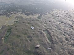 Vekeri-tó halpusztulás