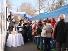 Szeged, Egészségváros, Széchenyi tér, szűrés, szűrővizsgálat, egészség, egészségügy, vizsgálat