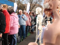 Szeged, Egészségváros, Széchenyi tér, szűrés, szűrővizsgálat, egészség, egészségügy, vizsgálat