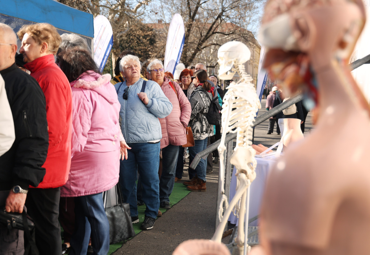 Szeged, Egészségváros, Széchenyi tér, szűrés, szűrővizsgálat, egészség, egészségügy, vizsgálat