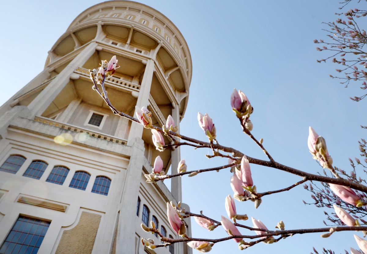 Szeged, Víz világnapja, Szent István téri víztorony, víztorony, látkép, belváros