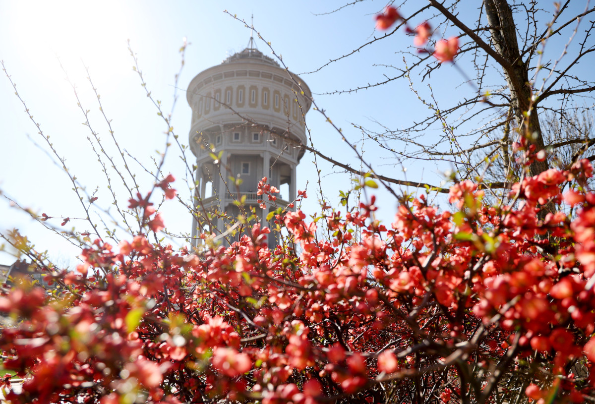 Szeged, Víz világnapja, Szent István téri víztorony, víztorony, látkép, belváros