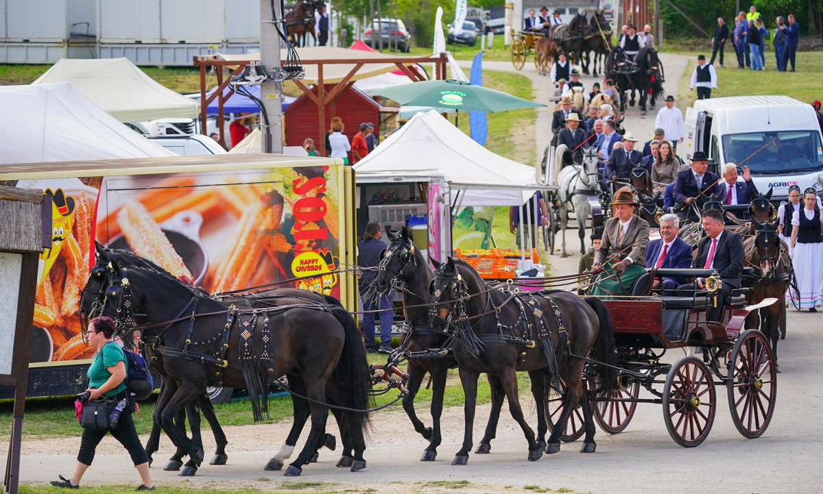 Idén elmarad Hódmezővásárhelyen az Alföldi Állattenyésztési és Mezőgazda Napok. Fotó: Tésik Attila