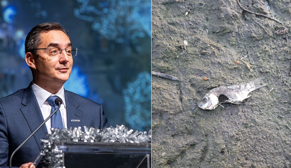 Papp László Debrecen vize