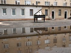 Szeged, virág, zongora, Dáni utca, Szent József jezsuita templom, udvar, mini kert