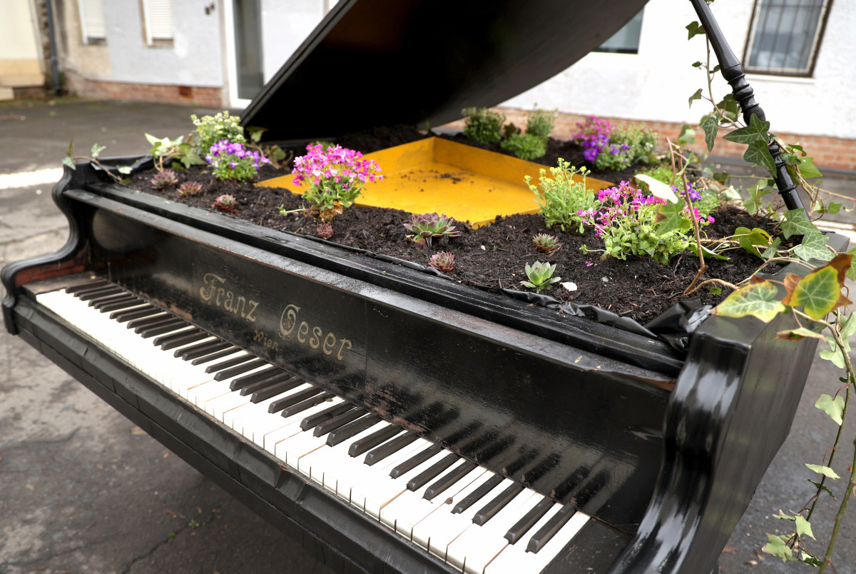 Szeged, virág, zongora, Dáni utca, Szent József jezsuita templom, udvar, mini kert