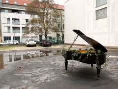 Szeged, virág, zongora, Dáni utca, Szent József jezsuita templom, udvar, mini kert