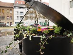 Szeged, virág, zongora, Dáni utca, Szent József jezsuita templom, udvar, mini kert