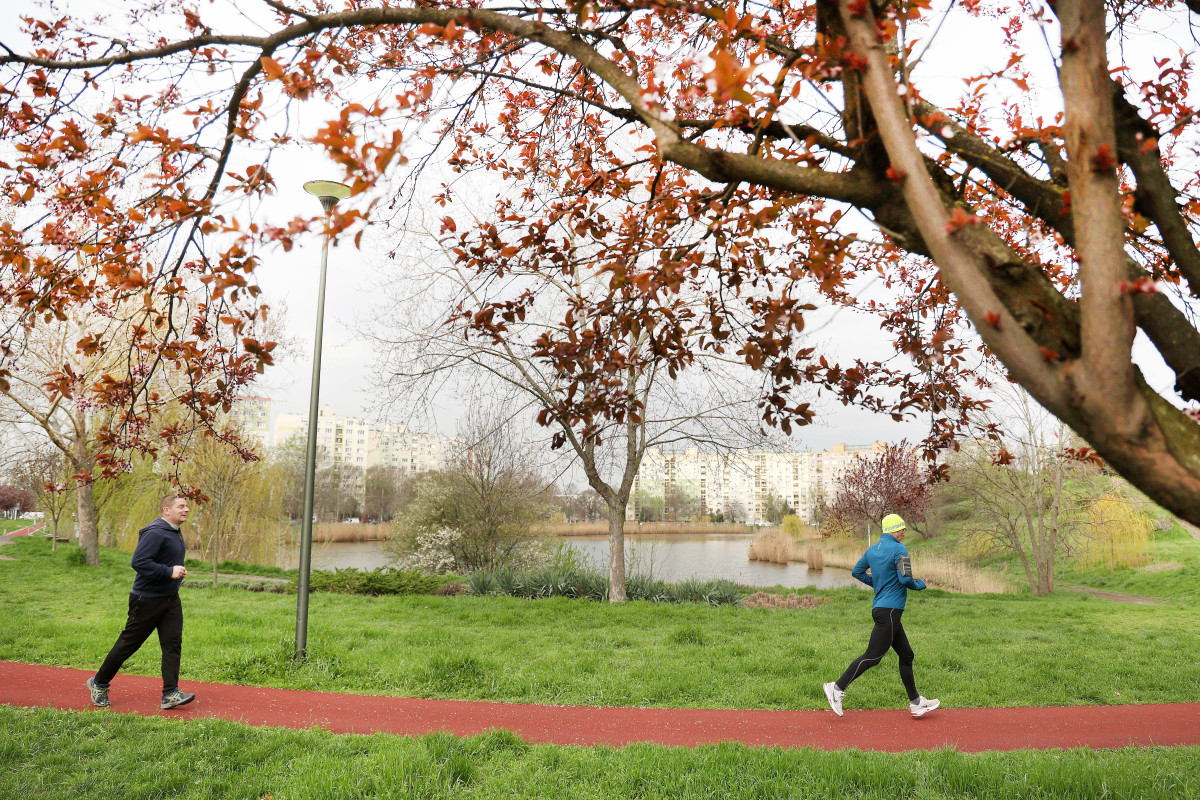 Szeged, tavasz, időjárás, március, virág, fák, Zápor-tó, Vér-tó, természet