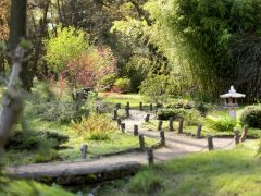 Szeged, Füvészkert, tavasz, természet