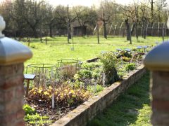 Szeged, Füvészkert, tavasz, természet