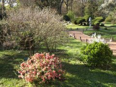 Szeged, Füvészkert, tavasz, természet