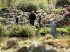 Szeged, Hanami, cseresznyefa-virágzás, Füvészkert, tavasz, természet