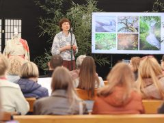 Szeged, Hanami, cseresznyefa-virágzás, Füvészkert, tavasz, természet