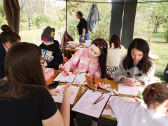 Szeged, Hanami, cseresznyefa-virágzás, Füvészkert, tavasz, természet