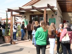 Szeged, Hanami, cseresznyefa-virágzás, Füvészkert, tavasz, természet