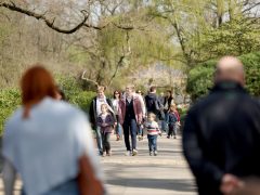 Szeged, Hanami, cseresznyefa-virágzás, Füvészkert, tavasz, természet