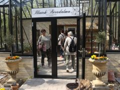 Szeged, Hanami, cseresznyefa-virágzás, Füvészkert, tavasz, természet